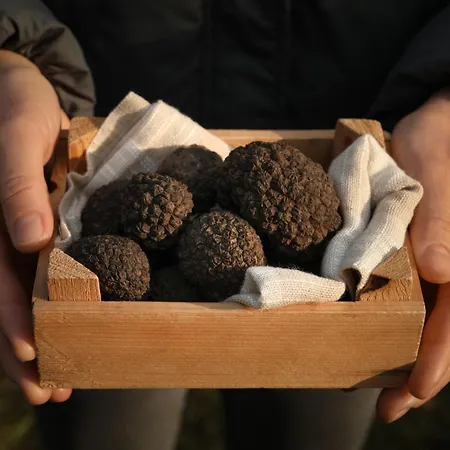 Ravan By Interhome *