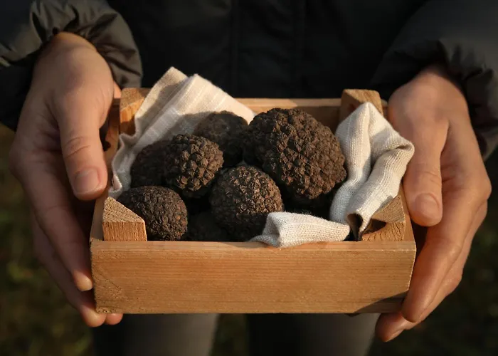 Ravan By Interhome *